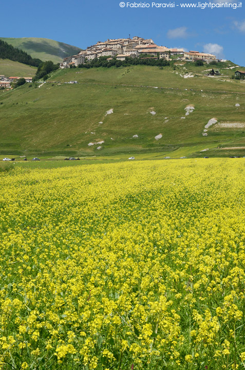 Noor Staccionata in Nocciolo di Montagna - Bloomling Italia